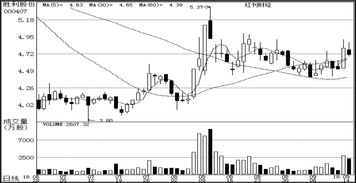 軟件開發在公司研究中的關鍵作用及實施策略